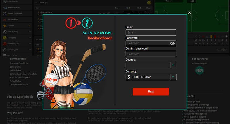 Registration on the Pin-Up Bet site using email